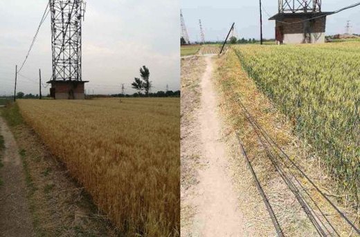 歪斜電桿、垂落線纜處置前后